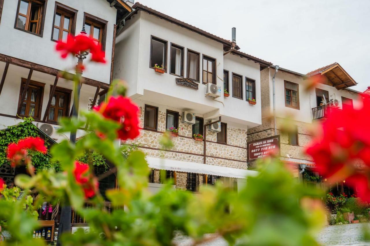 Toni'S Guest House Melnik  Ngoại thất bức ảnh